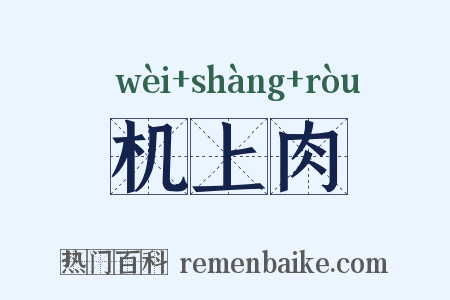 机上肉是什么意思的图片